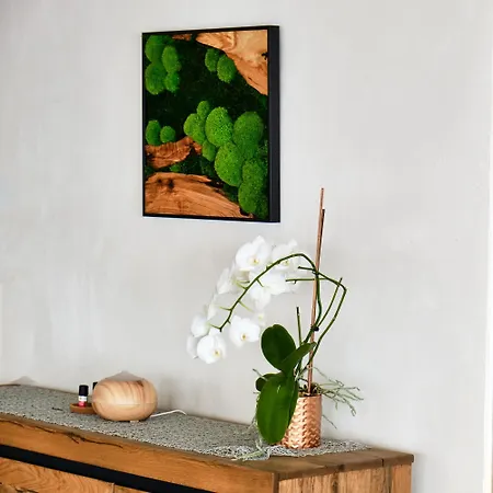 Elchegg - & Panorama-loft Apartment